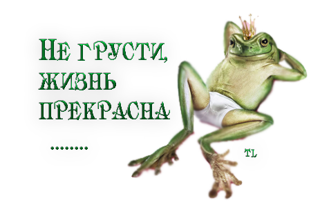  (450x300, 126Kb)