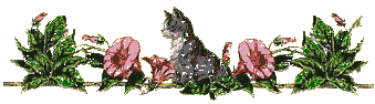1241864373_0822f914c795aa06610871bf5014c8d1 (339x94, 40Kb)