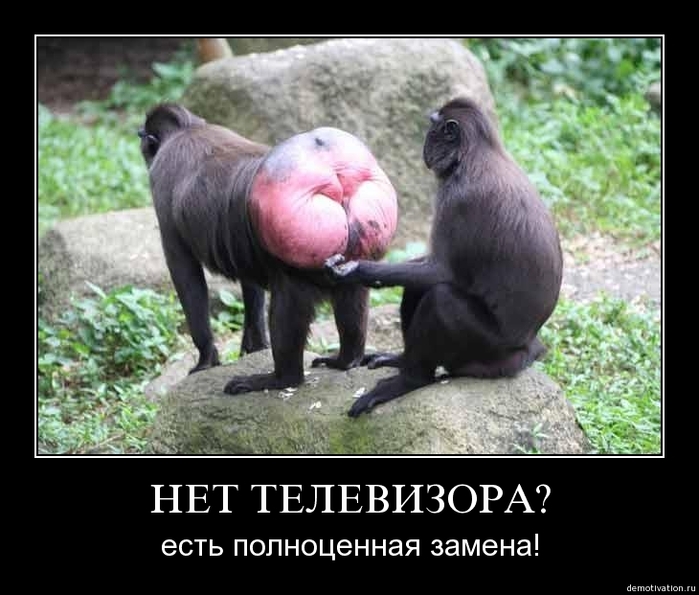  (699x595, 221Kb)