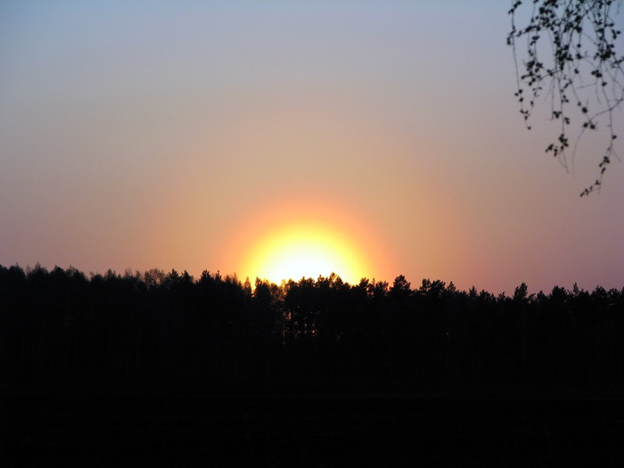  (700x525, 32Kb)
