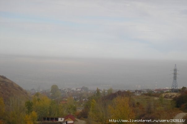 x_6782b452 (604x401, 33Kb)