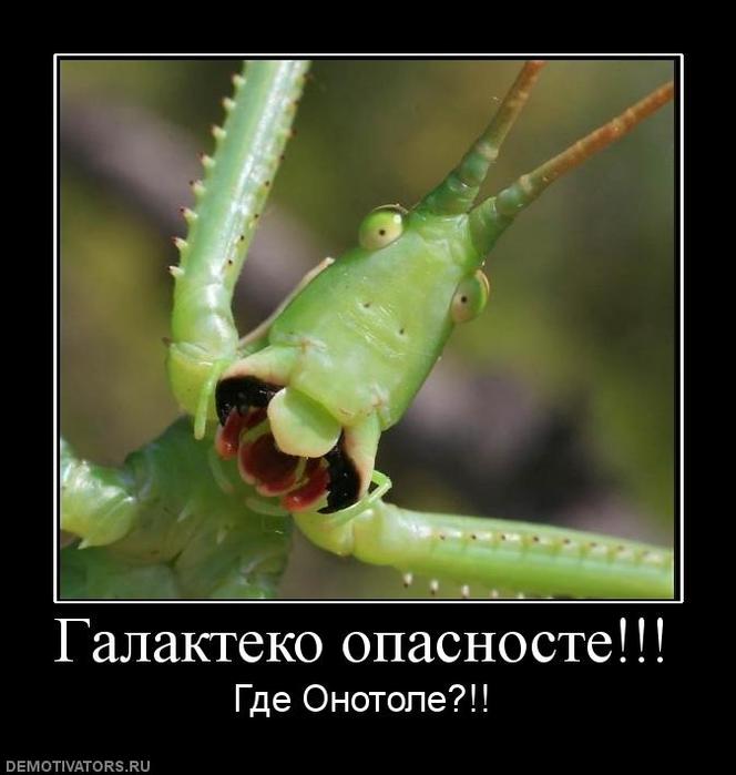  (664x699, 40Kb)