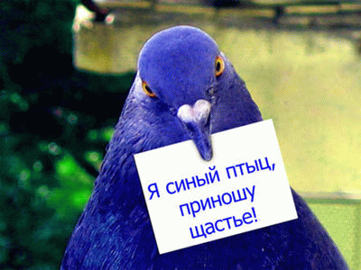  (400x300, 58Kb)