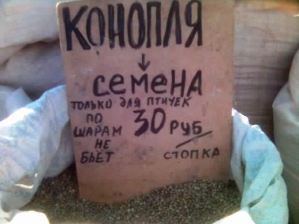  (604x453, 39Kb)