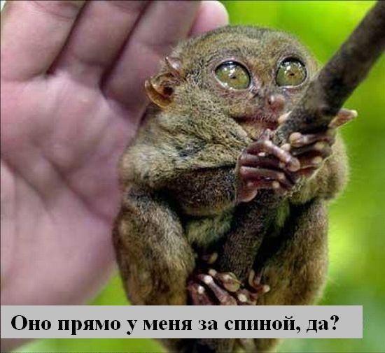  (550x505, 46Kb)