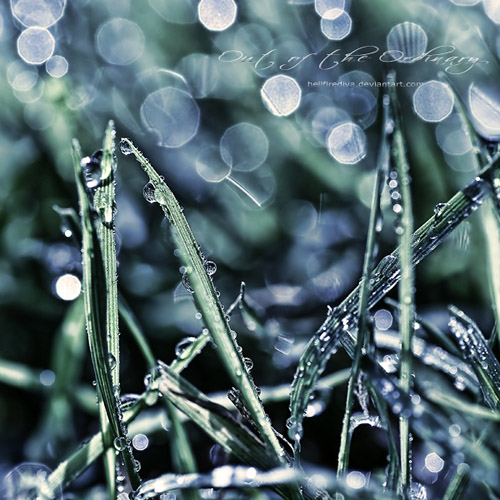 »иру10 (500x500, 134Kb)