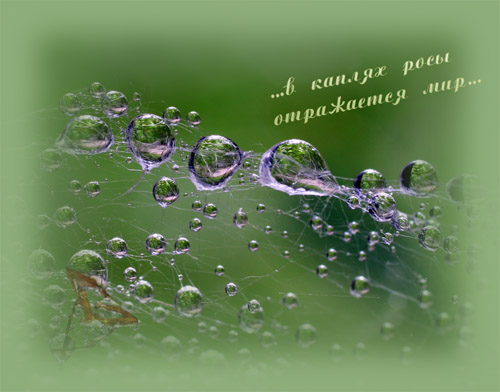   1 (500x392, 62Kb)