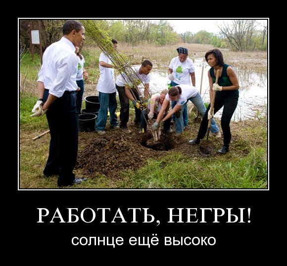  (580x538, 81Kb)
