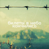  (100x100, 22Kb)
