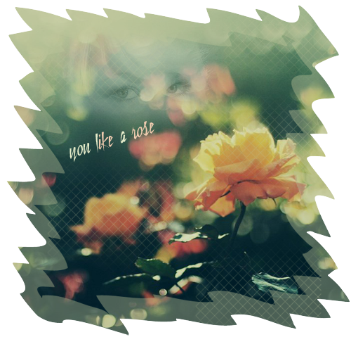 you like a rose 1 (500x479, 302Kb)
