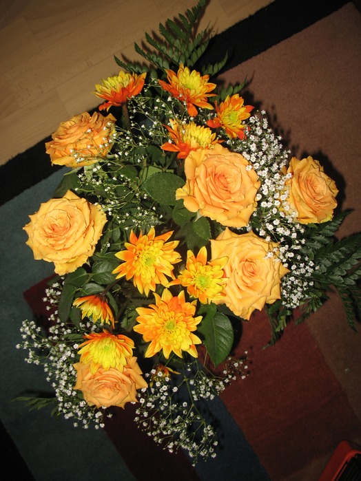IMG_0679 (524x699, 133Kb)