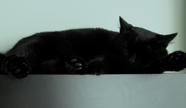 P6130120 (640x371, 83Kb)