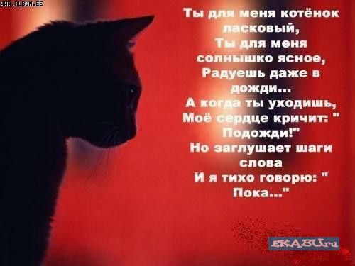  (500x375, 27Kb)