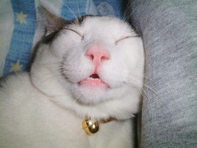  (640x480, 53Kb)