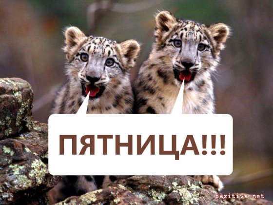  (560x420, 53Kb)