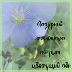  (150x150, 25Kb)