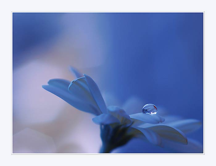  (700x537, 17Kb)