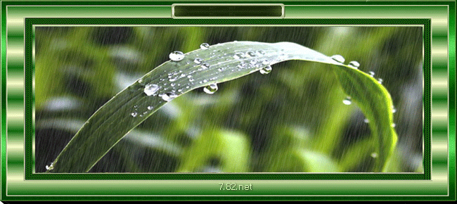 rain3 (650x290, 314Kb)