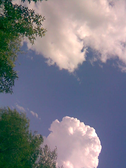  (525x700, 81Kb)