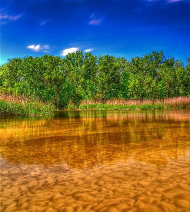  (627x700,  177Kb)