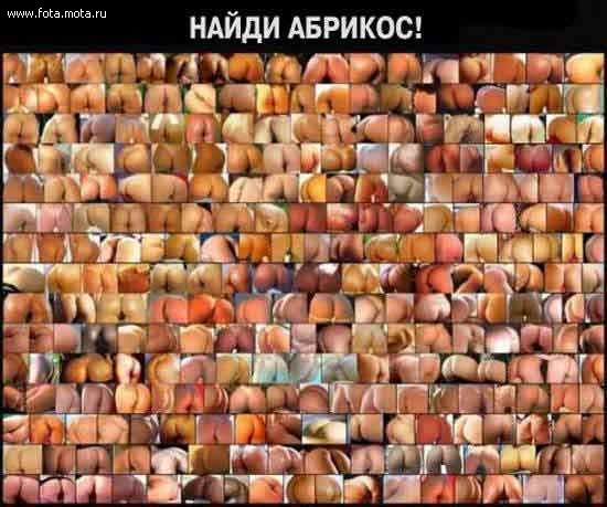  (550x459, 60Kb)
