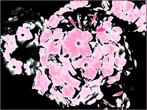  (500x375, 111Kb)