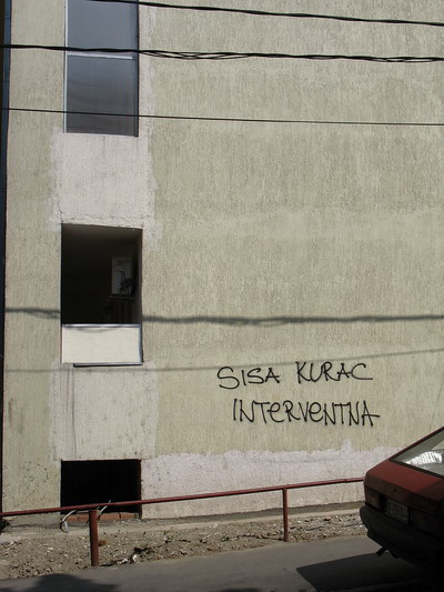  (400x533, 73Kb)