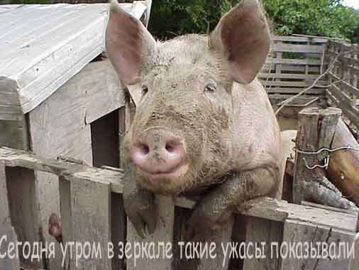  (506x380, 21Kb)