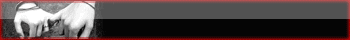  (350x40, 267Kb)