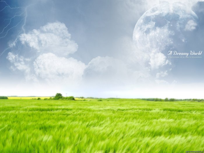  (700x525, 53Kb)