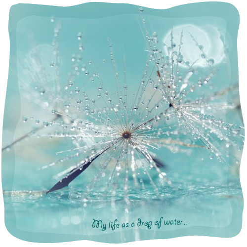My life as a drop of water (500x500, 360Kb)