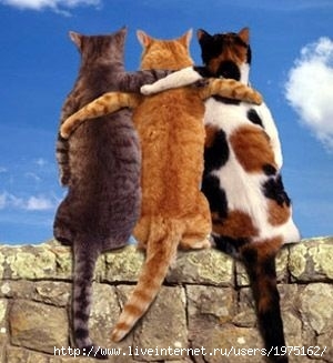  (300x327, 39Kb)