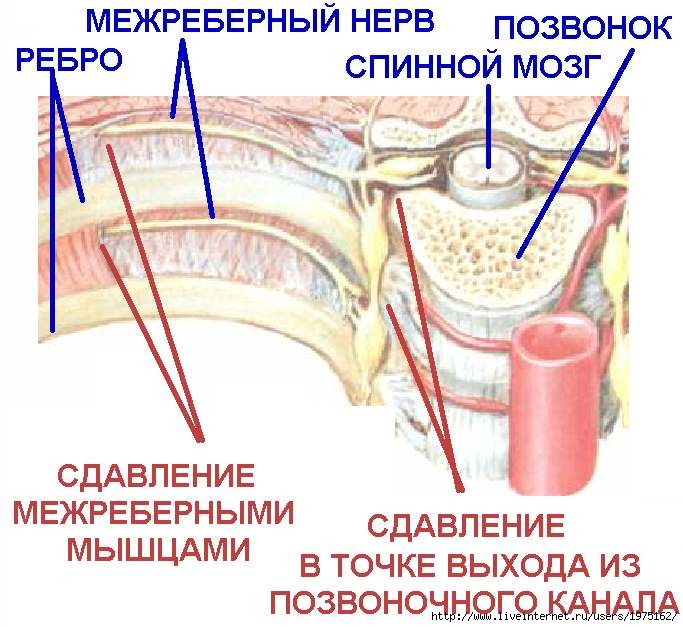  (683x627, 73Kb)