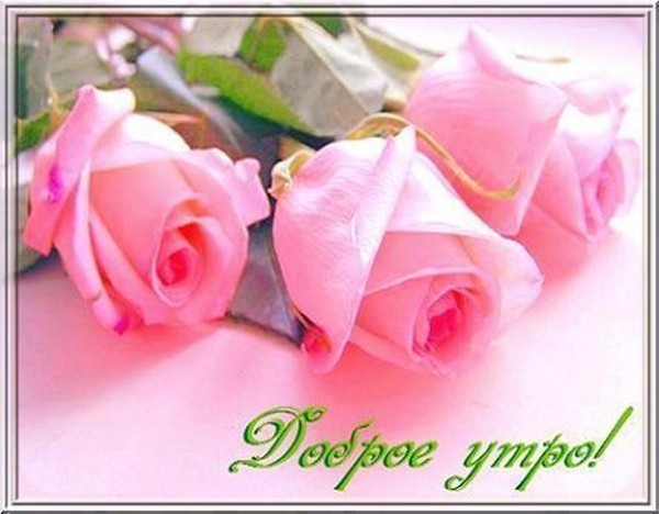  (600x468, 56Kb)