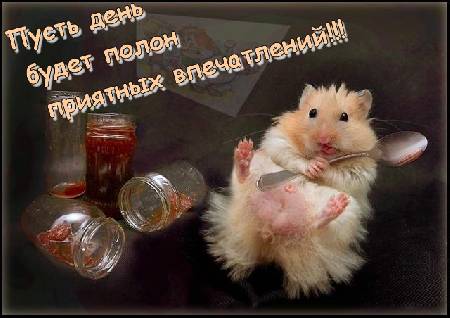  (450x318, 24Kb)