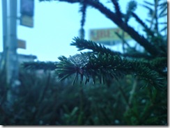DSC00124