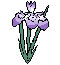  (60x65, 4Kb)