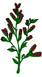  (136x249, 4Kb)