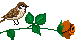  (80x40, 6Kb)