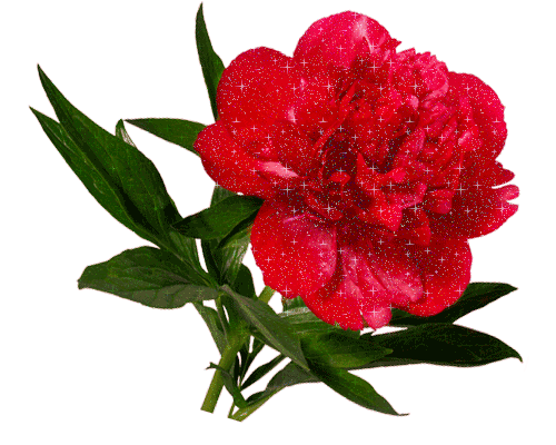 5e9580fcb7c5 (500x400, 98Kb)