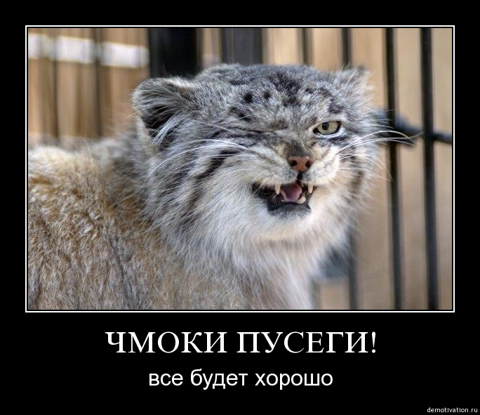  (684x591, 147Kb)