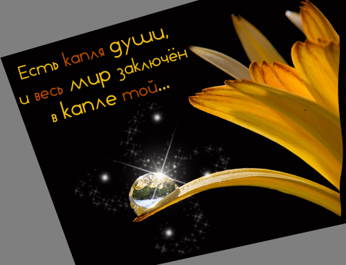   2 (500x383, 128Kb)