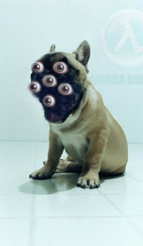  (279x480, 17Kb)