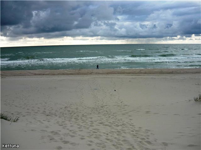  (640x480, 43Kb)