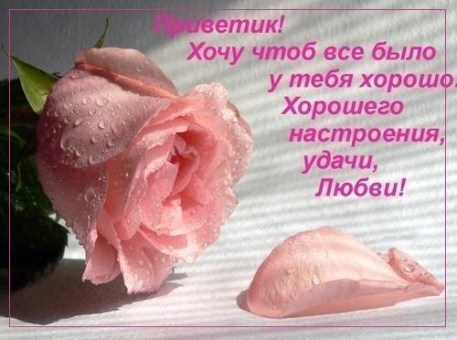  (500x372, 33Kb)