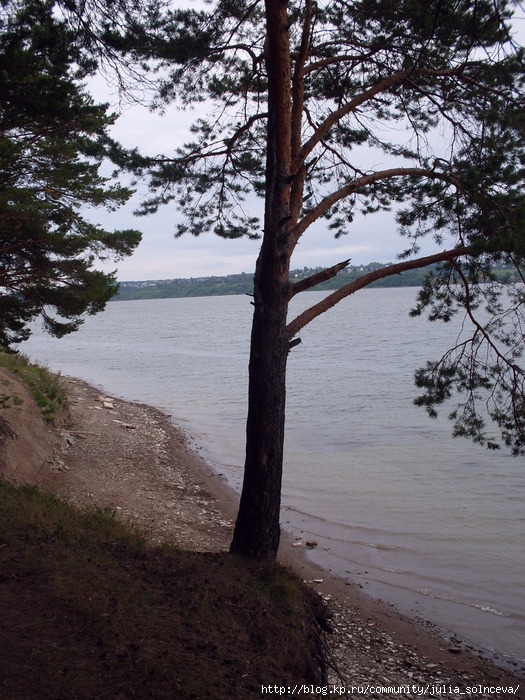  (525x700, 161Kb)
