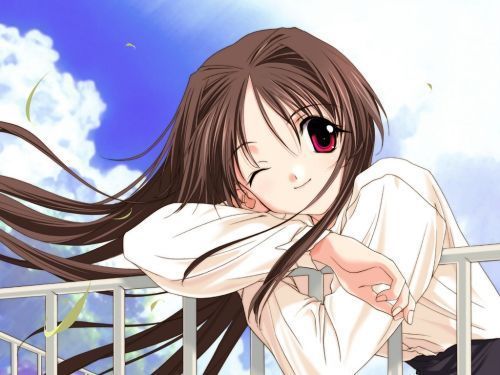  (500x375, 38Kb)