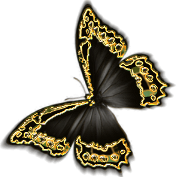  (350x350, 142Kb)