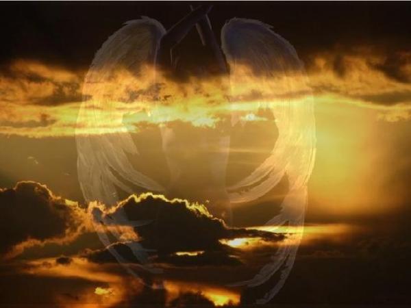 p53_angel1 (600x450, 26Kb)