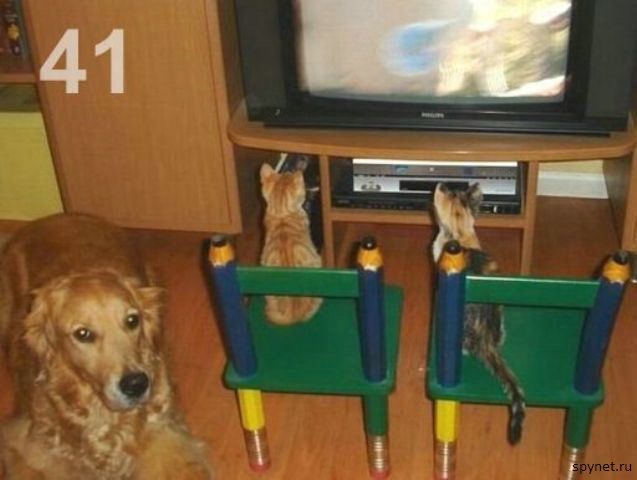  (637x480, 39Kb)